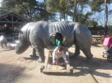 051-IMG_3887.JPG.small.jpeg