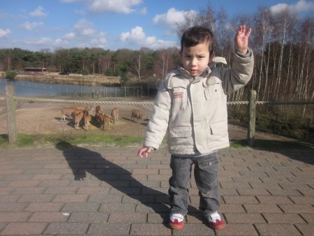 052-IMG_3889.JPG.medium.jpeg