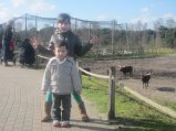 053-IMG_3890.JPG.small.jpeg