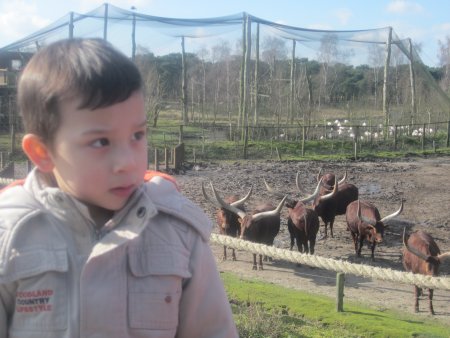 054-IMG_3892.JPG.medium.jpeg