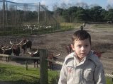 056-IMG_3895.JPG.small.jpeg