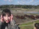 058-IMG_3898.JPG.small.jpeg