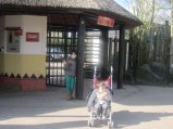 062-IMG_3907.JPG.small.jpeg